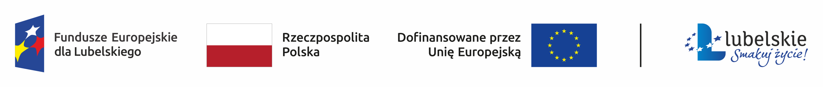 FEL logotyp kolor poziom.png