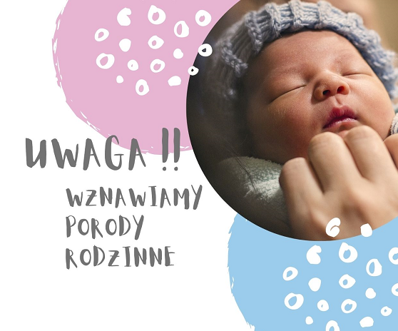 Ilustracja do artykułu mini.promo.png