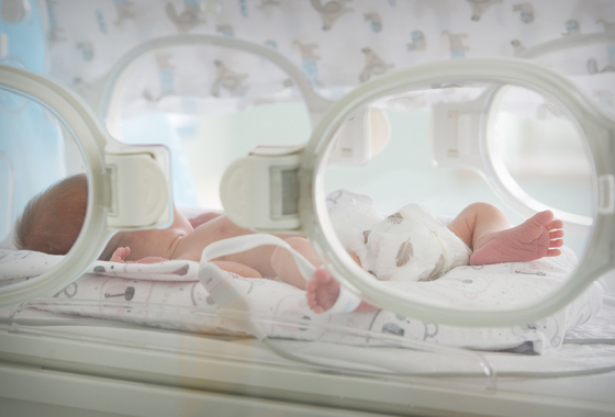 17 listopada - Światowy Dzień Wcześniaka w Wojewódzkim Szpitalu Specjalistycznym w Białej Podlaskiej.