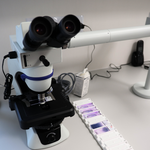 Warsztaty z zakresu diagnostyki chłoniaków B-komórkowych w Oddziale Hematologicznym Wojewódzkiego Szpitala Specjalistycznego.